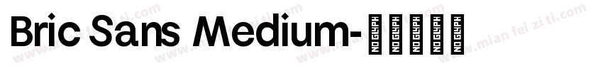Bric Sans Medium字体转换